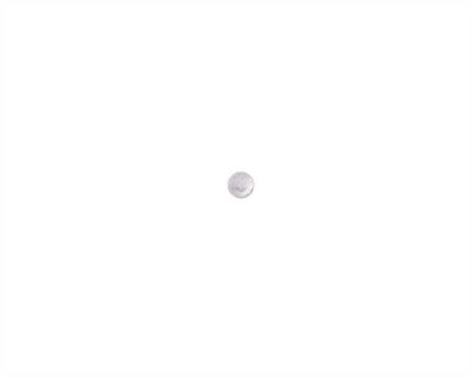 CONCHO ROPE EDGE ROUND WITH SCREW BACK SILVER PLATE 16MM