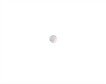 CONCHO ROPE EDGE ROUND WITH SCREW BACK SILVER PLATE 19MM