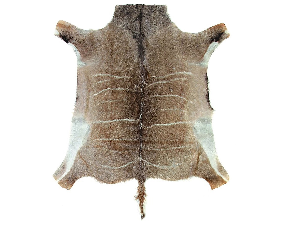 Kudu Skin