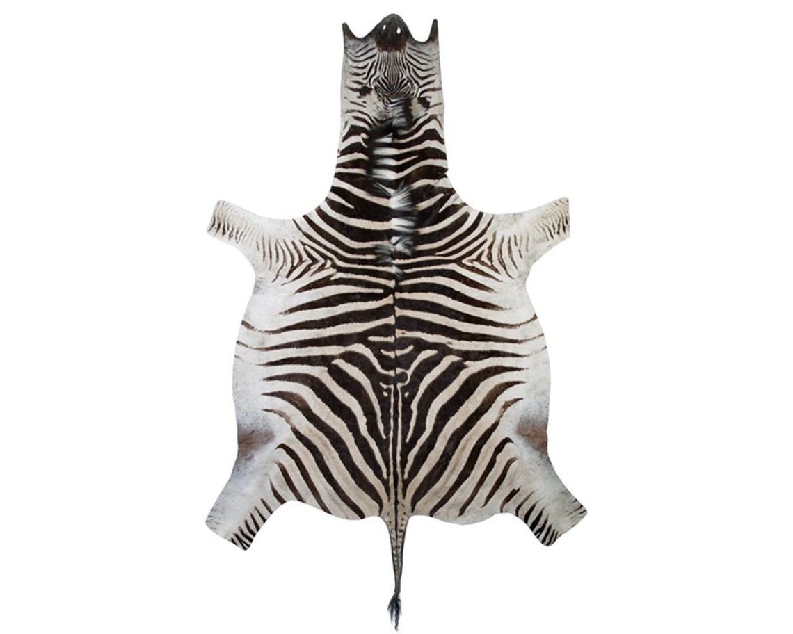 Real Zebra Hide