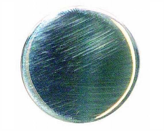 ROSETTE PLAIN FLAT WITH 16MM LOOP ON BACK NP 32MM