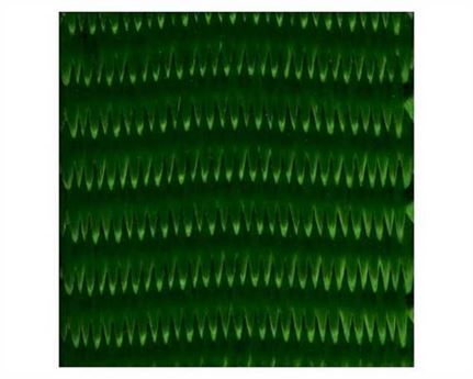 WEBBING POLYESTER HEAVY EMERALD 20MM (PER L/MTR)