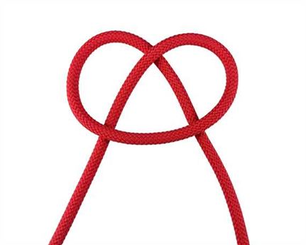 CORD HALTER RED 6MM