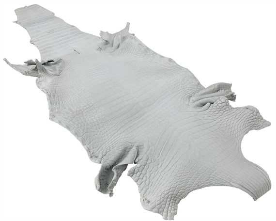 LEATHER EXOTIC CROCODILE CRUST BELLY (UNDYED)