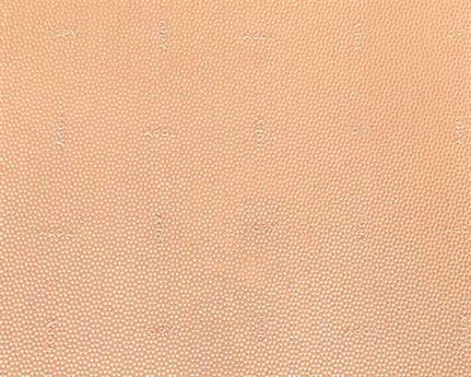 TOPY HEELING VERATOP SHEET (80 X 60CM) 6MM BEIGE PATTERNED
