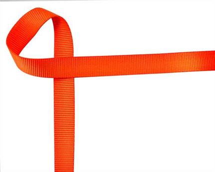 WEBBING POLYESTER FLUORO ORANGE 25MM (PER L/MT)