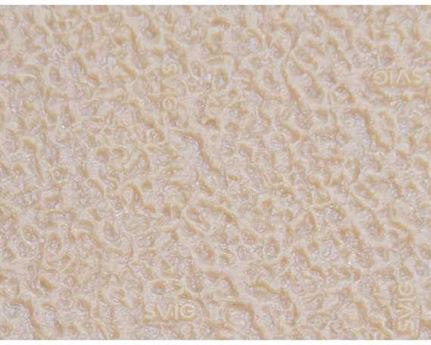 SVIG LA300 CRESPONE TREKKING 4mm HONEY 63 X 73cm