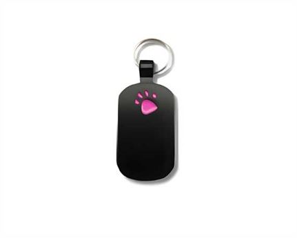 Black with Pink Paw Print Pegasus Pet Tag