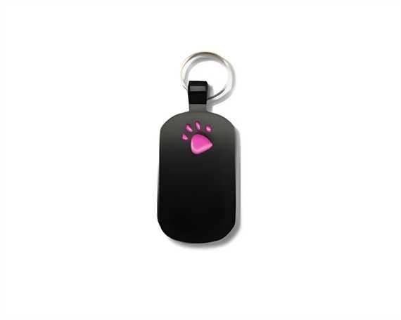 Black with Pink Paw Print Pegasus Pet Tag