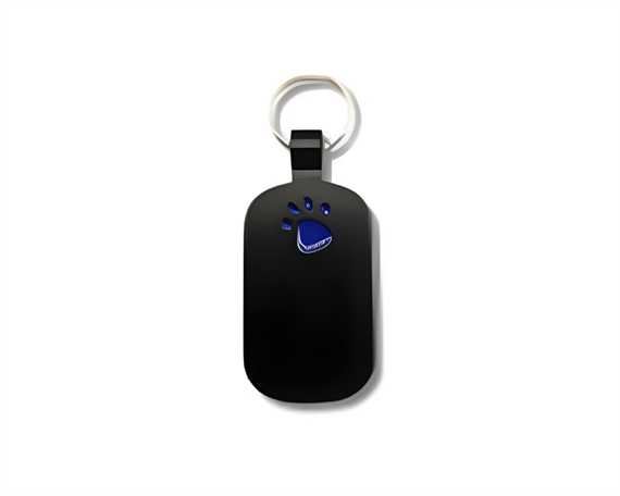 Black with Blue Paw Print Pegasus Pet Tag