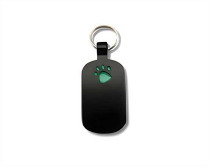 Black with Green Paw Print Pegasus Pet Tag