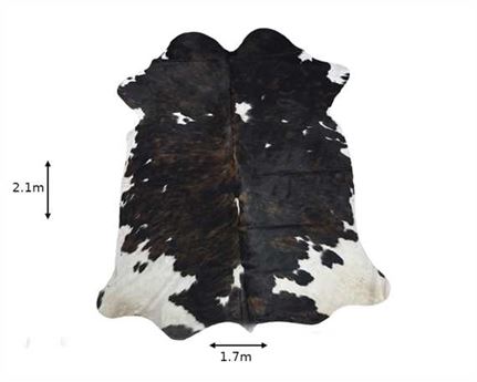  COWHIDE RUG TRI COLOUR LARGE (rug pictured sent)