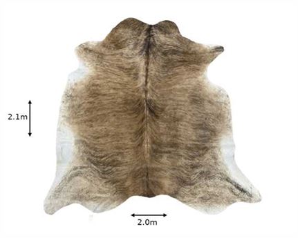  COWHIDE RUG EXOTIC LARGE (rug pictured sent)