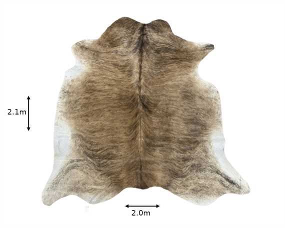  COWHIDE RUG EXOTIC LARGE (rug pictured sent)